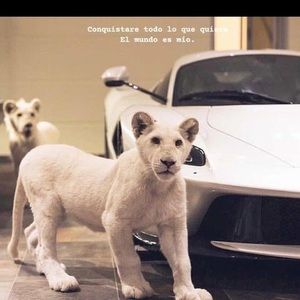 Meet your Posher, Santiago